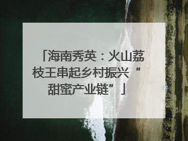 海南秀英：火山荔枝王串起乡村振兴“甜蜜产业链”