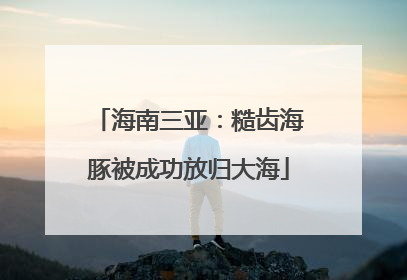 海南三亚：糙齿海豚被成功放归大海