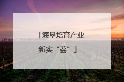 海垦培育产业新实“荔”