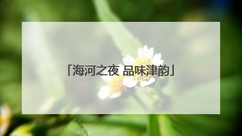 海河之夜 品味津韵