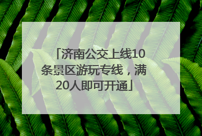 济南公交上线10条景区游玩专线，满20人即可开通