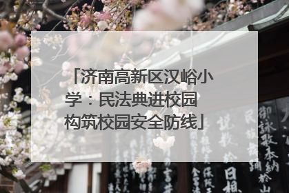 济南高新区汉峪小学：民法典进校园 构筑校园安全防线