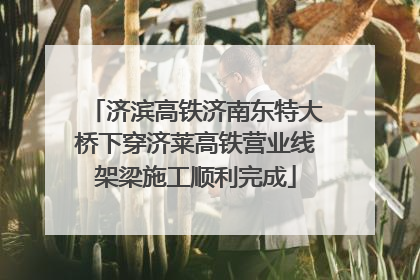 济滨高铁济南东特大桥下穿济莱高铁营业线架梁施工顺利完成