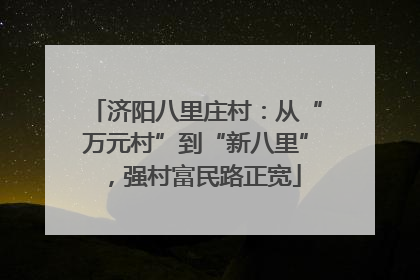 济阳八里庄村：从“万元村”到“新八里”，强村富民路正宽