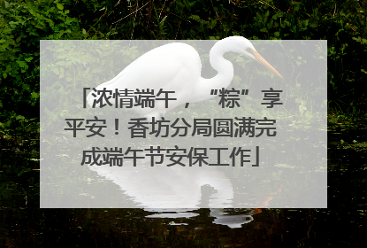 浓情端午，“粽”享平安！香坊分局圆满完成端午节安保工作