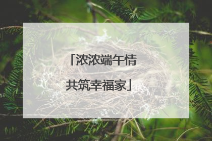 浓浓端午情 共筑幸福家