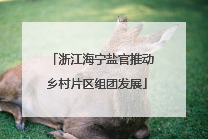 浙江海宁盐官推动乡村片区组团发展