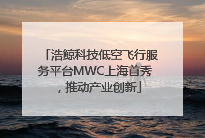 浩鲸科技低空飞行服务平台MWC上海首秀，推动产业创新