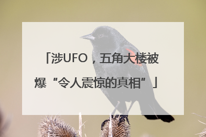 涉UFO，五角大楼被爆“令人震惊的真相”