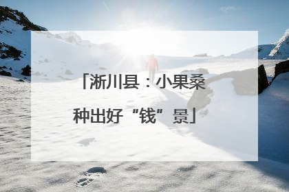 淅川县：小果桑种出好“钱”景