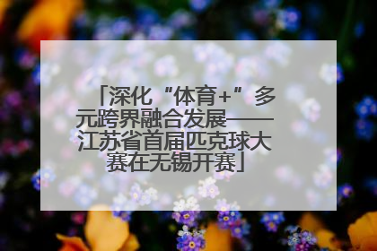 深化“体育+”多元跨界融合发展——江苏省首届匹克球大赛在无锡开赛