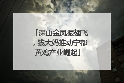 深山金凤振翅飞，钱大妈推动宁都黄鸡产业崛起