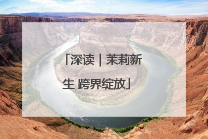 深读｜茉莉新生 跨界绽放
