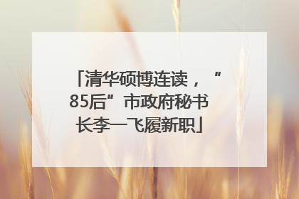 清华硕博连读，“85后”市政府秘书长李一飞履新职