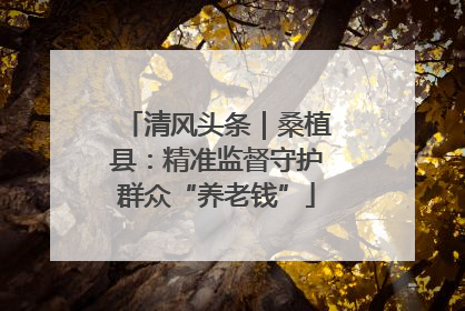 清风头条｜桑植县：精准监督守护群众“养老钱”