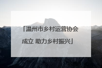 温州市乡村运营协会成立 助力乡村振兴