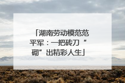 湖南劳动模范范平军：一把砖刀“砌”出精彩人生