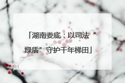 湖南娄底：以司法“绿盾”守护千年梯田