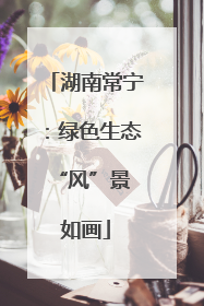 湖南常宁：绿色生态 “风”景如画