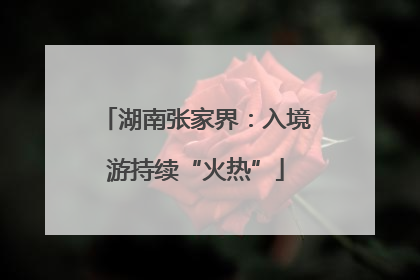 湖南张家界：入境游持续“火热”