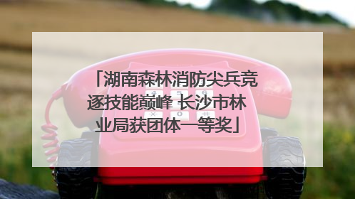 湖南森林消防尖兵竞逐技能巅峰 长沙市林业局获团体一等奖