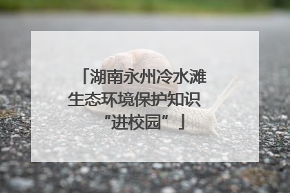 湖南永州冷水滩生态环境保护知识“进校园”