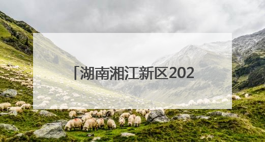 湖南湘江新区2025年科技活动周启动 科学巴士首次亮相