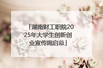 湖南财工职院2025年大学生创新创业宣传周启幕
