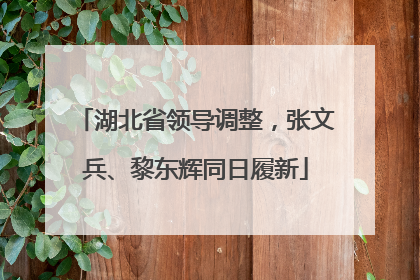 湖北省领导调整，张文兵、黎东辉同日履新