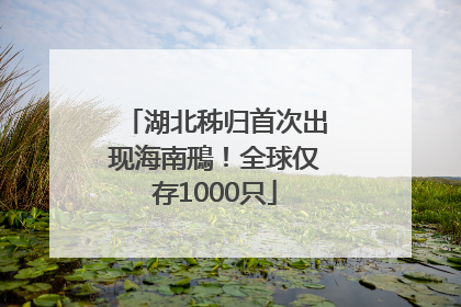 湖北秭归首次出现海南鳽！全球仅存1000只