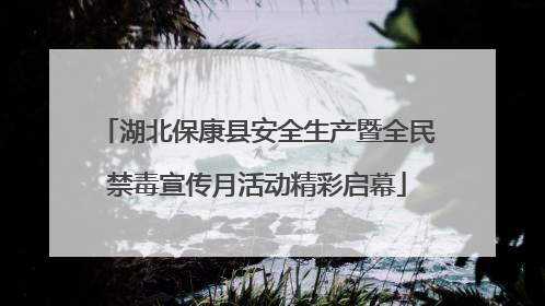湖北保康县安全生产暨全民禁毒宣传月活动精彩启幕