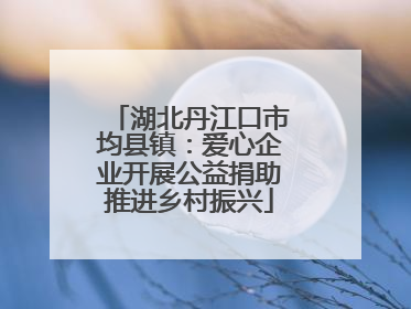 湖北丹江口市均县镇：爱心企业开展公益捐助推进乡村振兴