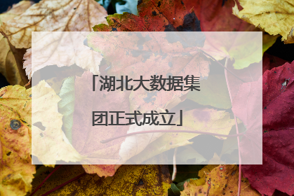 湖北大数据集团正式成立