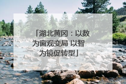 湖北黄冈：以数为窗观变局 以智为镜促转型