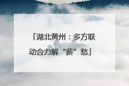 湖北黄州：多方联动合力解“薪”愁