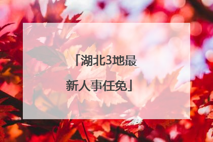 湖北3地最新人事任免