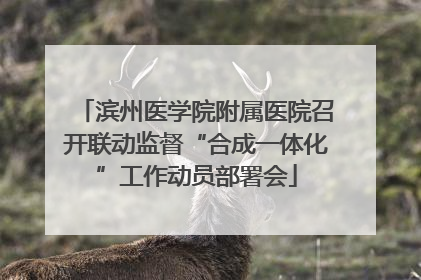 滨州医学院附属医院召开联动监督“合成一体化”工作动员部署会