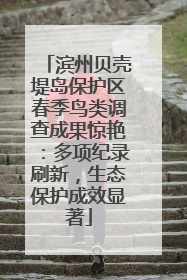 滨州贝壳堤岛保护区春季鸟类调查成果惊艳：多项纪录刷新，生态保护成效显著