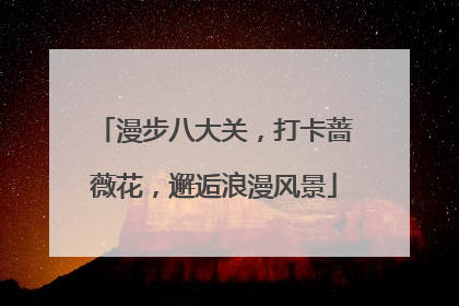 漫步八大关，打卡蔷薇花，邂逅浪漫风景