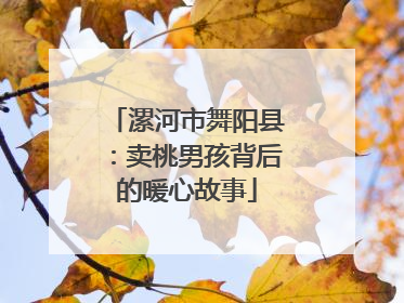 漯河市舞阳县：卖桃男孩背后的暖心故事