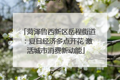 菏泽鲁西新区岳程街道：夏日经济多点开花 激活城市消费新动能