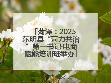 菏泽：2025东明县“菏力共治”第一书记·电商赋能培训班举办