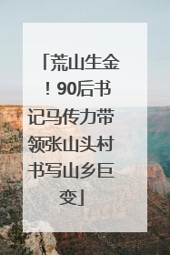 荒山生金！90后书记马传力带领张山头村书写山乡巨变