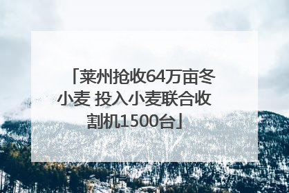 莱州抢收64万亩冬小麦 投入小麦联合收割机1500台