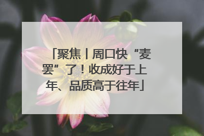聚焦丨周口快“麦罢”了！收成好于上年、品质高于往年