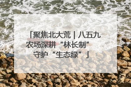 聚焦北大荒｜八五九农场深耕“林长制” 守护“生态绿”