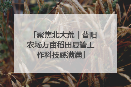 聚焦北大荒｜普阳农场万亩稻田夏管工作科技感满满