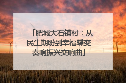肥城大石铺村：从民生期盼到幸福蝶变奏响振兴交响曲