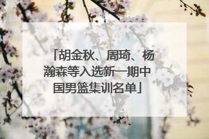 胡金秋、周琦、杨瀚森等入选新一期中国男篮集训名单
