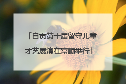 自贡第十届留守儿童才艺展演在富顺举行